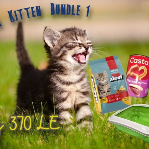 Starter Kitten Bundle 1